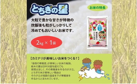 栃木県鹿沼市産 とちぎの星 無洗米 令和7年産 2kg | 水稲うるち精米 単一原料米 お米 特A 大粒 甘さ ※沖縄・離島への配送不可