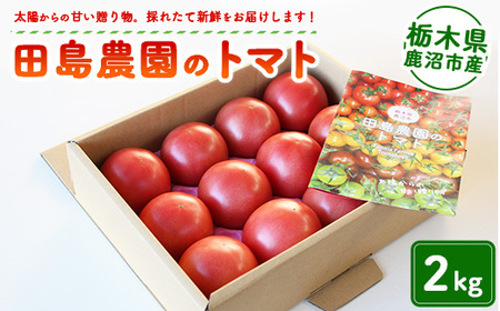 トマト 2kg | 田島農園 野菜 トマト ミニトマト 濃厚 贈り物 新鮮 高糖度 リコピン ビタミン 美容 健康