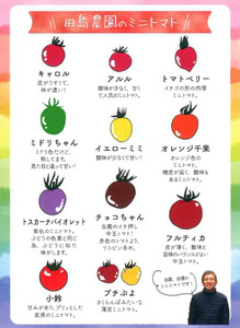 カラフルミニトマト 2kg | 田島農園 野菜 トマト ミニトマト 濃厚 贈り物 新鮮 高糖度 リコピン ビタミン 美容 健康