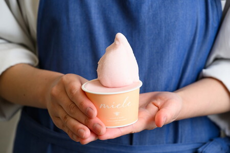 はちみつ ジェラート と はちみつ屋さん の カマンベール（ジェラート等24個） スイーツ お菓子 アイス シャーベット お菓子 ケーキ タルト ※北海道・沖縄・離島への配送不可