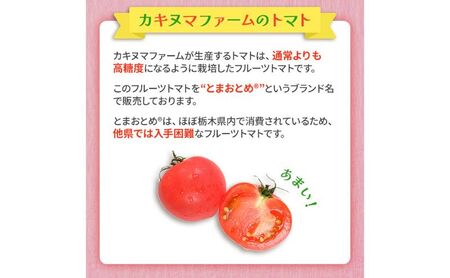 栃木県鹿沼産　高糖度フルーツトマト”とまおとめ”食べ比べ 1kg
