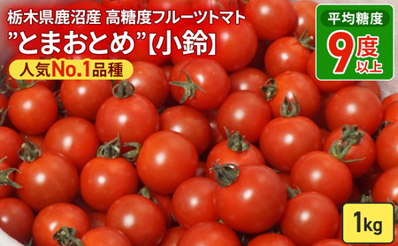 栃木県 鹿沼産 高糖度 フルーツトマト ”とまおとめ” 人気No.1品種 【小鈴】 1kg野菜 ※2025年12月下旬～2026年6月上旬頃に順次発送予定