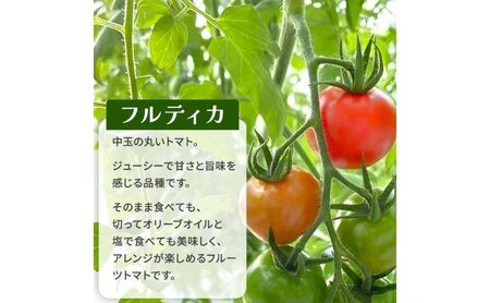 栃木県 鹿沼産 高糖度 フルーツトマト ”とまおとめ” フルティカ 1kg ｜ 野菜 トマト 濃厚 カキヌマファーム とまおとめ フルティカ 濃厚 甘み 旨み 入手困難 贈り物 栃木県 鹿沼市 ※2025年12月下旬～2026年6月上旬頃に順次発送予定