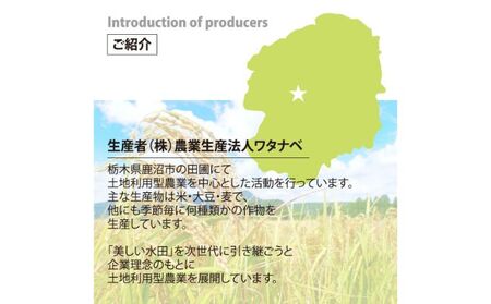 特A評価大嘗祭 に選ばれた 銘柄米「とちぎの星」（20kg）（栃木県 農業