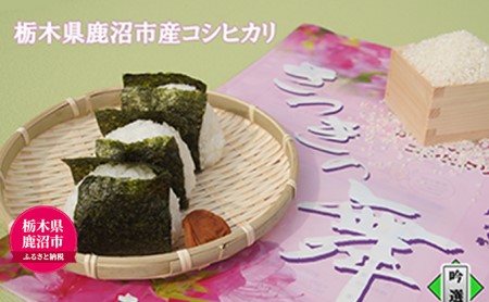 お米 コシヒカリ さつきの舞 吟選 10kg（5kg×2） ｜ 清らか 水 優良 農地 厳選 化学肥料 農薬 安全 安心 自然環境 玄米低温保管 品質 鮮度 美味しさ