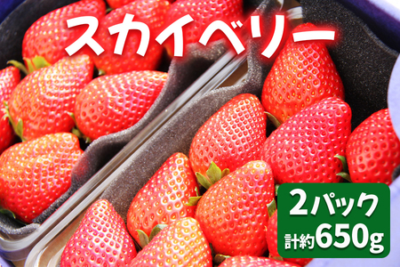 [2025年1月～発送 数量限定]「スカイベリー 2パック」計約650g 贈答用化粧箱入り 約4人分｜いちご イチゴ 苺 果物 日光産 栃木県産 フルーツ 期間限定  先行予約 [0226]