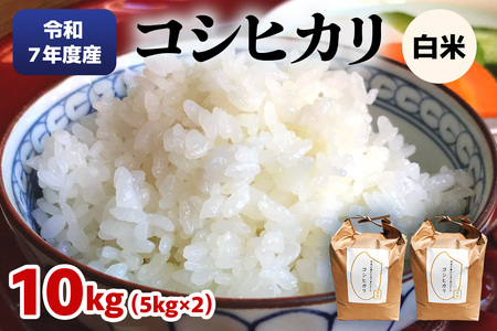 数量限定] 令和7年度産 コシヒカリ 白米10kg (5kg×2袋) 2025年度米 