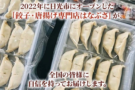 はなぶさの日光餃子｜おかず 惣菜 国産 ぎょうざ 日光市産 [0284]