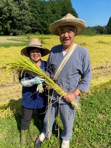 日光ダイヤ舞【白米20kg(5kg×4袋)】令和5年度米 ｜有機無農薬こしひかり JAS有機転換中 コシヒカリ 精米 お米 ごはん 国産 産地直送 [0310]