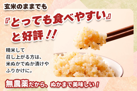 [数量限定／令和7年度米] こしひかり《日光ダイヤ舞／玄米20kg (5kg×4袋)》 [0936]