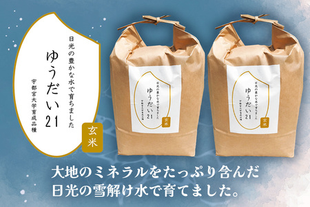栃木県産ゆうだい21 楽天市場】ゆうだい21 (無農薬、有機質栽培) 5kg 送料無料 令和6
