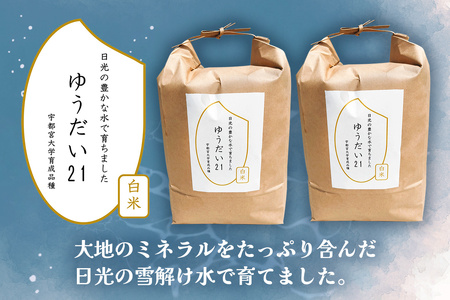 [数量限定] 令和7年度産 ゆうだい21 白米10kg (5kg×2袋)｜ゆうだい お米 ご飯 ライス 2025年度米 白米 精米 国産 日光産 産地直送 先行予約 [0709]