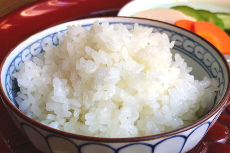 [数量限定] 令和7年度産 ゆうだい21 白米10kg (5kg×2袋)｜ゆうだい お米 ご飯 ライス 2025年度米 白米 精米 国産 日光産 産地直送 先行予約 [0709]