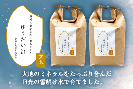 [定期便／3ヶ月 令和6年度産] ゆうだい21 玄米10kg(5kg×2袋)×3回｜数量限定 お米 ゆうだい 2024年度米 精米 玄米 国産 日光産 産地直送 [0408]