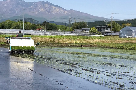 [定期便／3ヶ月 令和6年度産] ゆうだい21 玄米10kg(5kg×2袋)×3回｜数量限定 お米 ゆうだい 2024年度米 精米 玄米 国産 日光産 産地直送 [0408]