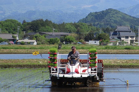 日光産【ゆうだい21】【滋養米こしひかり】食べくらべ(各5kg 計10kg) ｜令和6年度米 特別栽培米 減農薬 無化学肥料栽培 コシヒカリ  日光ブランド 精米 お米 ごはん 国産 産地直送 [0381] | 栃木県日光市 | ふるさと納税サイト「ふるなび」