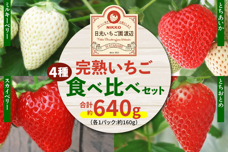 いちご いちご いちこ いちご adidas ZX 8000