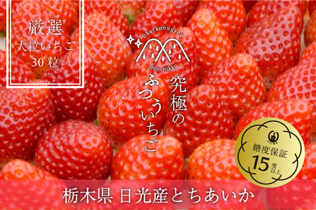 [2024年12月中旬より順次発送] 「究極のふつういちご」厳選大粒とちあいか 30粒入り＋いちご狩りペアご招待券｜とちあいか いちご イチゴ 苺 大粒 果物 果実 いちご狩り 収穫 招待券 チケット 産地直送 日光市産 先行予約 [0420]