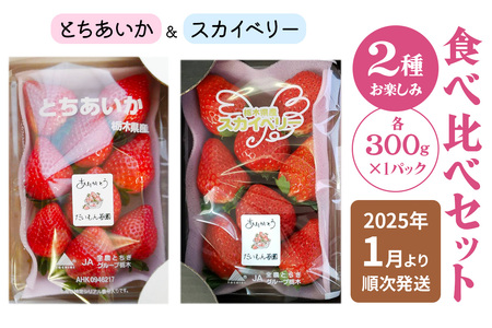 [先行予約] 2種お楽しみ食べ比べセット「とちあいか＆スカイベリー」計300g×2パック [2026年1月上旬より順次発送]｜先行予約 期間限定 とちあいか スカイベリー ミルキーベリー いちご イチゴ 苺 フルーツ 果実 スイーツ 日光市産 栃木県産 産地直送 [0457]