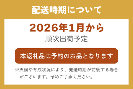[先行予約] 2種お楽しみ食べ比べセット「とちあいか＆スカイベリー」計300g×2パック [2026年1月上旬より順次発送]｜先行予約 期間限定 とちあいか スカイベリー ミルキーベリー いちご イチゴ 苺 フルーツ 果実 スイーツ 日光市産 栃木県産 産地直送 [0457]