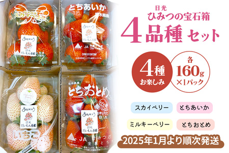 [先行予約] ひみつ (日光) の宝石箱 4品種セット「とちおとめ・スカイベリー・とちあいか・ミルキーベリー」計160g×4パック [2026年1月上旬より順次発送]｜先行予約 期間限定 とちおとめ スカイベリー とちあいか ミルキーベリー いちご イチゴ 苺 フルーツ 果実 スイーツ 日光市産 栃木県産 産地直送 [0650]