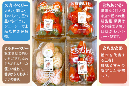 [先行予約] ひみつ (日光) の宝石箱 4品種セット「とちおとめ・スカイベリー・とちあいか・ミルキーベリー」計160g×4パック [2026年1月上旬より順次発送]｜先行予約 期間限定 とちおとめ スカイベリー とちあいか ミルキーベリー いちご イチゴ 苺 フルーツ 果実 スイーツ 日光市産 栃木県産 産地直送 [0650]