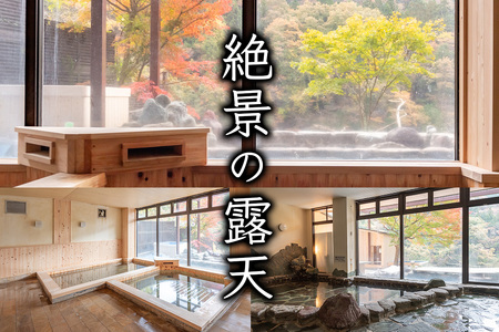 [さぷらす] 入浴券 (5枚)｜サウナ セルフロウリュ 日帰り温泉 露天風呂 旅行 観光 温泉 食事 日光市 鬼怒川 チケット クーポン 回数券 [0609]