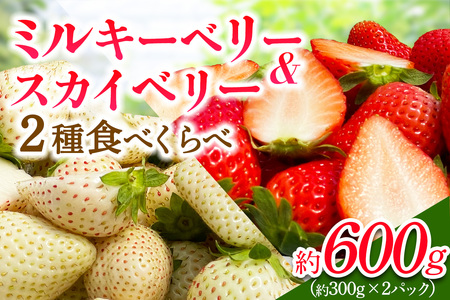 [先行予約] 日光産 プレミアムいちご「スカイベリー＆ミルキーベリー」各1パック 計約600g [2026年1月中旬から順次発送]｜ミルキーベリー スカイベリー いちご イチゴ 苺 果物 日光産 栃木県産 フルーツ 期間限定 数量限定 [0680]