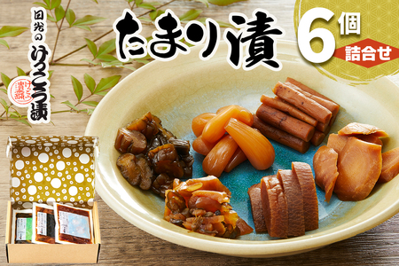 日光のけっこう漬 たまり漬 詰合せ 6個入｜漬物 つけもの 大根 きゅうり ごぼう 生姜 唐辛子 しその実 野菜 おかず つまみ 和食 国産 日光市 けっこう漬本舗 [0733]