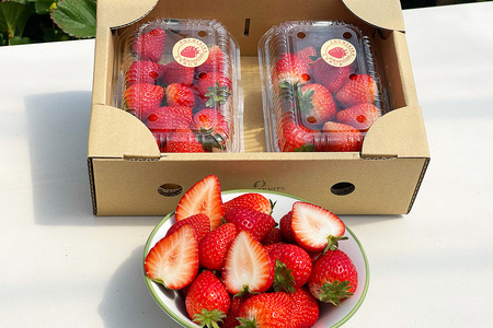 【ふるなびWEEK対象】「とちあいか 2パック」計約600g 可愛いハート形 数量限定 FN-Limited-WE [0674f]