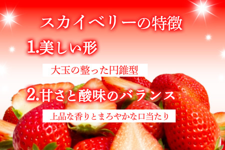 【ふるなびWEEK対象】プレミアムいちご「スカイベリー 2パック」計約600g 数量限定 FN-Limited-WE [0675f]