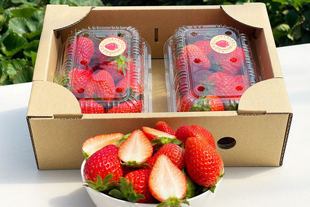 【ふるなびWEEK対象】プレミアムいちご「スカイベリー 2パック」計約600g 数量限定 FN-Limited-WE [0675f]