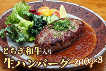 日光えんや「とちぎ和牛入り生ハンバーグ」＆「えんやステーキソース」セット｜ビーフ 牛肉  惣菜 おかず 洋食 簡単調理 冷凍保存 日光市  [0790]