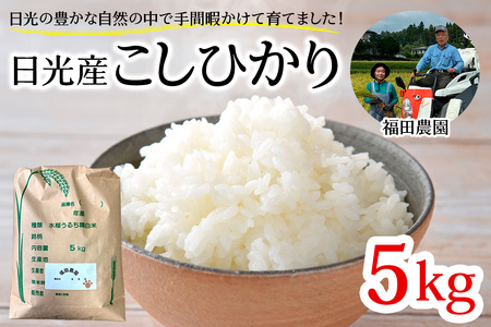 [令和7年度米] 日光産 こしひかり 5kg 日光・福田農園｜数量限定 2025年度米 新米 コシヒカリ お米 ごはん 白米 精米 国産 産地直送 日光市産 栃木県産 [0801]