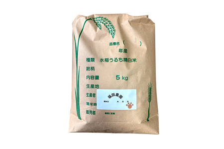 [令和7年度米] 日光産 こしひかり 5kg 日光・福田農園｜数量限定 2025年度米 新米 コシヒカリ お米 ごはん 白米 精米 国産 産地直送 日光市産 栃木県産 [0801]