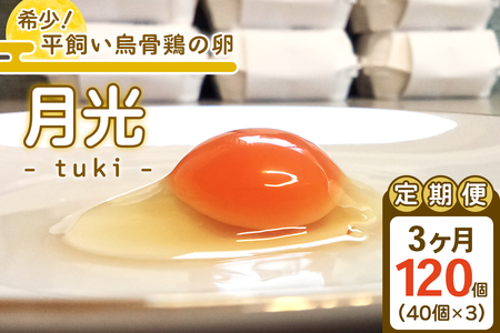 [定期便／3ヵ月] 希少！平飼い烏骨鶏の卵「月光《tuki》」40個×3回 計120個｜3ヵ月連続定期便 平飼い卵 烏骨鶏 こだわり卵 たまご 卵 玉子 生卵 鶏卵 NANTAIファーム [0803]