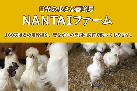 希少！平飼い烏骨鶏の卵「月光《tuki》」40個 [0802]