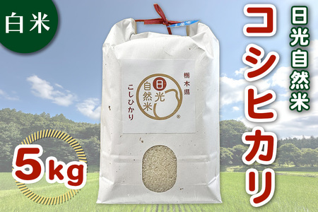 [数量限定／令和7年度米] 日光市産 コシヒカリ 白米 5kg《自然栽培米『日光自然米』／農薬不使用・化学肥料不使用》｜2025年度米 無農薬米 こしひかり オーガニック コシヒカリ 精米 お米 ごはん 日光産 国産 産地直送 [0820]