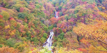 WELCOME日光クーポン 6000円分｜東武トップツアーズ 日光市 ホテル 観光 旅行 旅行券 宿泊 宿泊券 チケット 夏休み 紅葉  [0100]