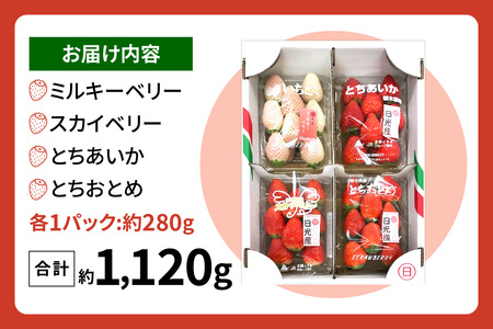 [2026年1月上旬より順次発送] 4種類の「完熟いちご」 食べ比べ！ Aセット 280g×4パック 日光の自然が育むいちご｜先行予約 期間限定 イチゴ 苺 フルーツ とちおとめ とちあいか スカイベリー ミルキーベリー 果物 産地直送 日光産 栃木県産 [0652]