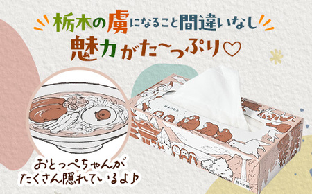 【10箱入り】使い切りパック!栃木の魅力ティッシュボックス※配送不可地域:離島・沖縄【配送不可地域：離島・沖縄県】【1454530】