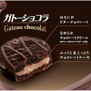 ガトーショコラ　2箱入り【配送不可地域：離島】【1516071】