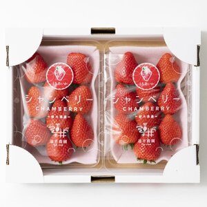 産地直送!!栃木県遠井農園の美味しいとちあいか【270g×2パック(1箱)】【配送不可地域：離島】【1518940】