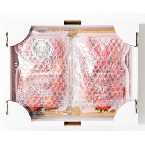 産地直送!!栃木県遠井農園の美味しいとちあいか【270g×2パック(1箱)】【配送不可地域：離島】【1518940】