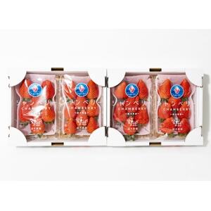 産地直送!!栃木県遠井農園の美味しいスカイベリー【290g×4パック(2箱)】【配送不可地域：離島】【1518943】