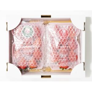 産地直送!!栃木県遠井農園の美味しいスカイベリー【290g×4パック(2箱)】【配送不可地域：離島】【1518943】