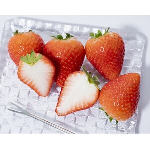 産地直送!!栃木県遠井農園の美味しいスカイベリー【290g×4パック(2箱)】【配送不可地域：離島】【1518943】