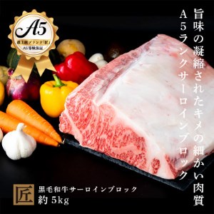 おやま和牛 A5極　サーロインブロック　約5kg【配送不可地域：離島】【1096920】