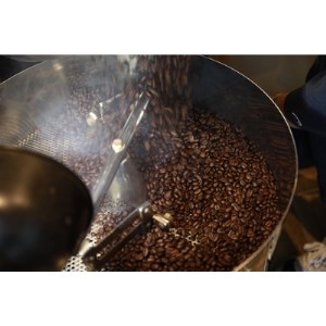 CafeFUJINUMA自家焙煎(粉)焙煎士おまかせ5種飲み比べセット 100g×5種【1112572】