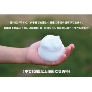 栃木県小山市　薬用 泡消毒液 あわの～る【消毒　アルコール　携帯用】　100mL×3【配送不可地域：沖縄県】【1141837】